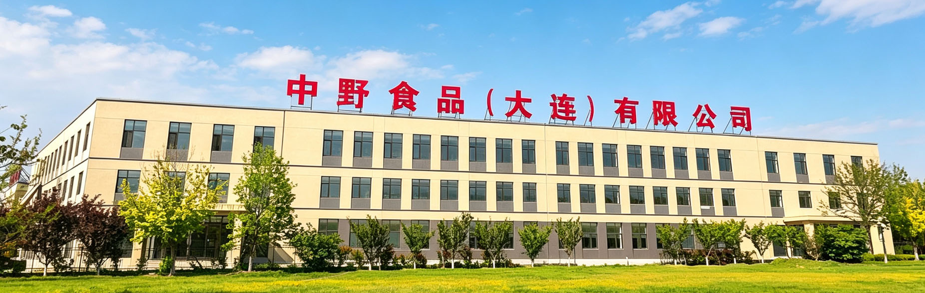 发展历程